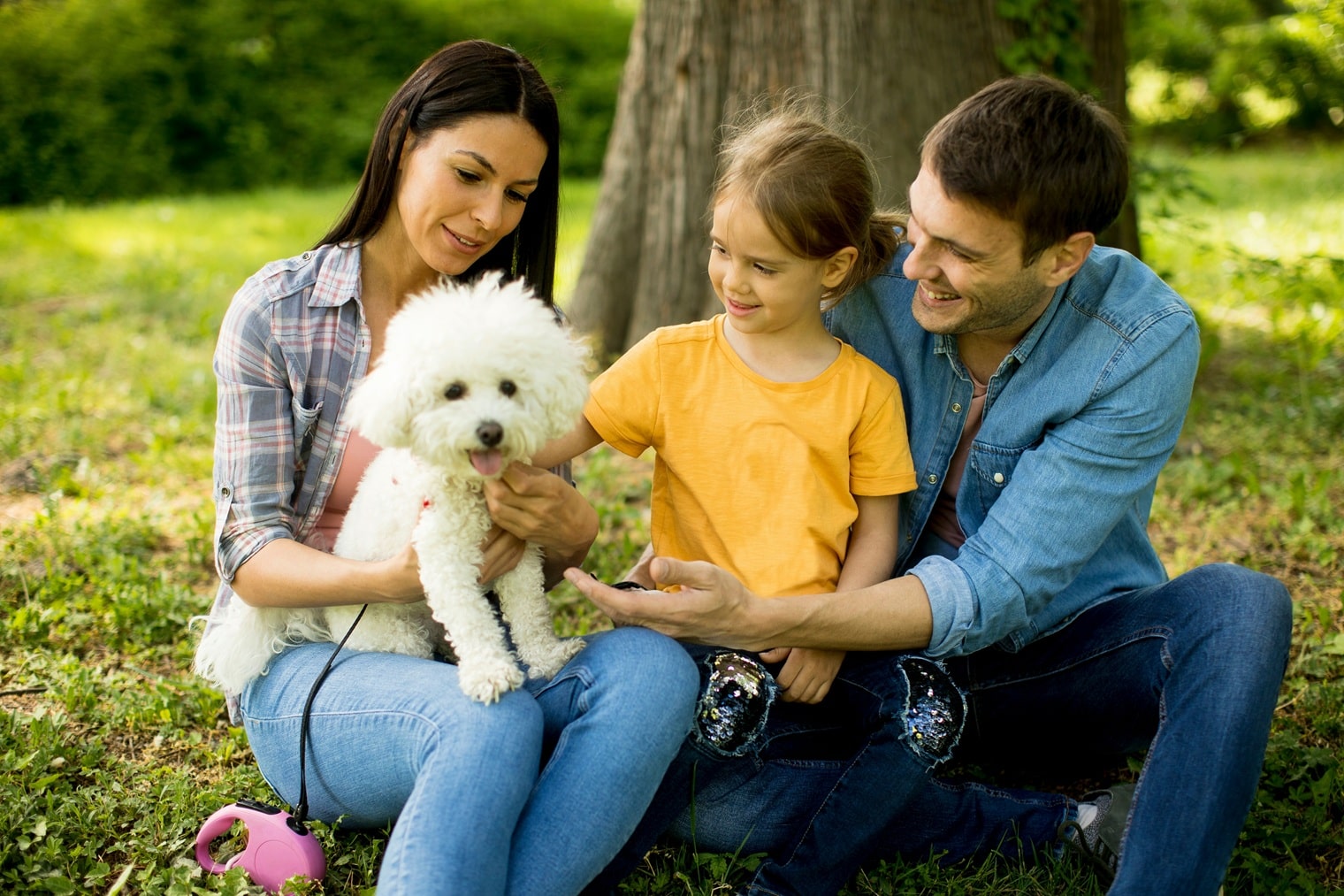 La mediazione familiare per l’affido degli animali da compagnia